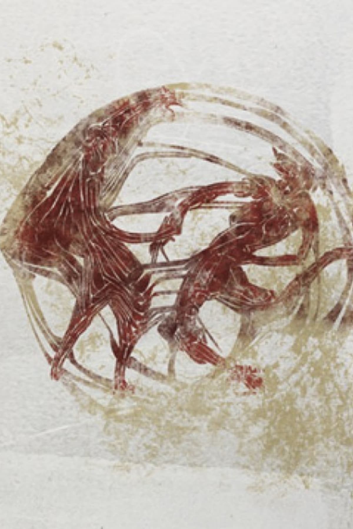 Αφίσα: Ο κύκλος - Μουσικοχορευτική Παράσταση